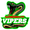 Pappireddipatti Vipers