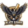 Black Hawks Dubai