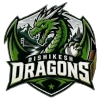 Rishikesh Dragons