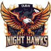 Dubai Night Hawks