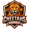 Cheetahs Karwan