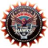 Flying Hawks