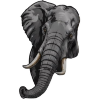 Grey Elephants