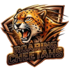 Roaring Cheetahs
