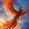 Phoenix DCNL