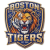 Boston Tigers