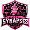 New Delhi Synapses
