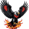 MSG Firebirds