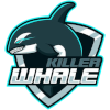 Killer Whale