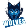 CricWarriors