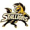 Stallions Kuwait