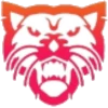 Wild Cats