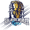 Ft. Lauderdale Lions