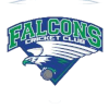 Falcons Pros