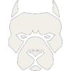 The Underdogs