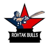 Rohtak Bulls