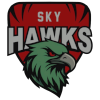 Sky Hawks