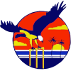Darwin Eagles