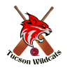 Tucson Wildcats