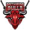 Bathinda Bulls