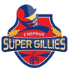Chepauk Super Gillies