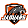 Rewa Jaguars