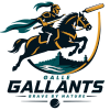 Galle Gallants