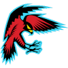Antigua & Barbuda Falcons