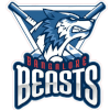 Bangalore Beasts