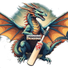 Hyderabad Dragons