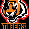 Tigers Mumbai