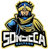Sonseca Sultans