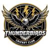 Thunderbirds Mesa