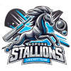 Sopore Stallions