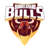 Bundelkhand Bulls