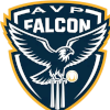 AVP Falcon