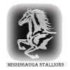 Mississauga Stallions