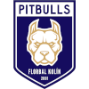 Pitbulls Kolin