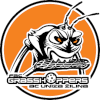 Grasshoppers Zilina
