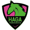 HAGA Pardubice