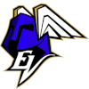 EraViikingit