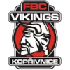 Vikings Koprivnice