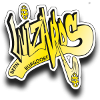 Burgdorf Wizards (Women)