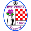 Crnica