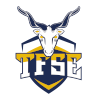 TFSE