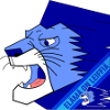 Akaa
