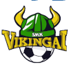 Vikingai Jonavos