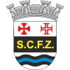 Ferreira do Zezere