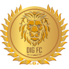 Dig