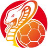 HSG Bad Wildungen Vipers (Women)